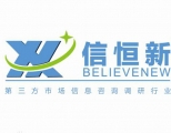 宁波信恒新市场信息咨询有限公司 信恒新 believenew LOGO